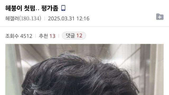 [망한머리 구조대 미용실형]그냥 불렀는데 대구에서 무궁화 타고 온 헤붕이