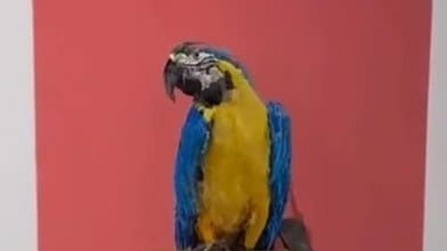 미대생도 벽느끼는 현대미술.jpg