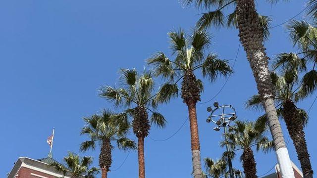 장문) 다저스 vip 투어에 이은 오라클파크 vip투어