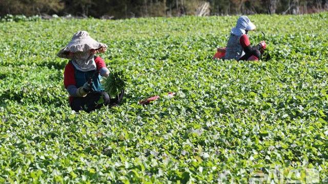 대구·경북 '아침 -5도' 덜덜…대체로 흐림, 눈도 비도 온다