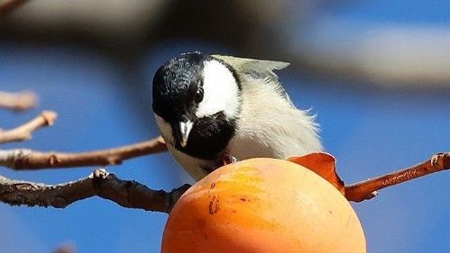 [K-VIBE] 신종근의 'K-리큐르' 이야기…감술의 달콤한 유혹