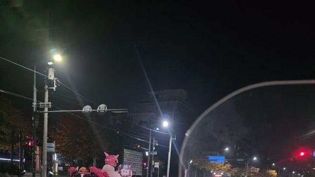 핑크핑크 얘네 뭔데;;