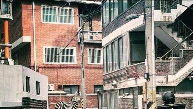 다시 봐도 AI같은 레전드 장면