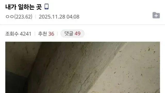 사람 스트레스 안받고 돈 많이 받는다는 디씨인