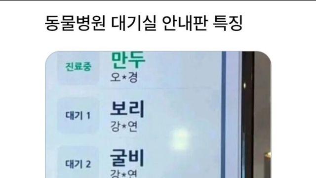 요즘 동물병원 근황