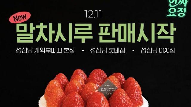 오늘부터 판매한다는 성심당 신상 말차시루