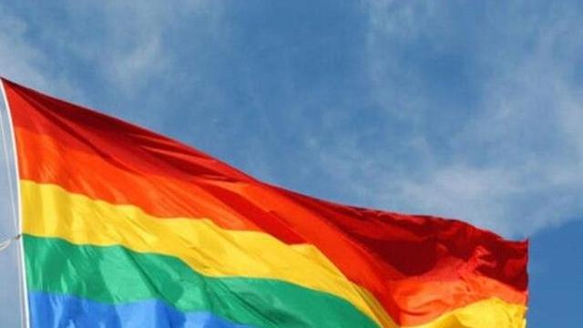 '동성애 배척' 이란-이집트, 성소수자의 날 기념 맞대결