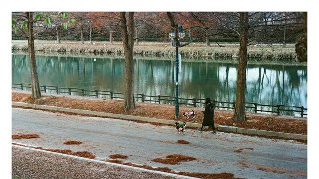 필린이 첫 롤 현상 했어