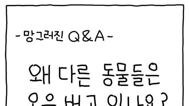 망곰이가 옷을 안입는 이유.Manhwa