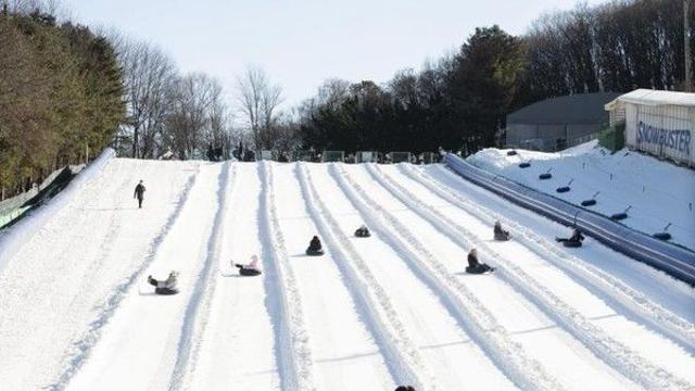 ‘에버랜드 눈썰매장’ 이용방법과 일정? 불꽃쇼에 먹거리 풍성