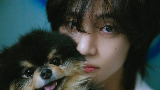 이금희의 고백…“이상형은 방탄소년단 뷔, 언제나 뷔”