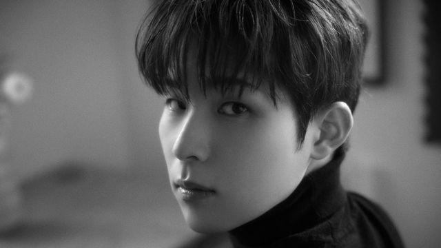 ‘정해인 샤라웃’ 범진, ‘인사’ 1억 뷰 돌파하며 인기 재점화