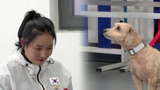 '개는 훌륭하다' 몰티푸 모찌, 여자만 보면 입질하는 이유