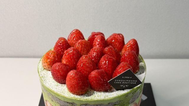 오늘 첫 출시된 성심당 말차시루 실물