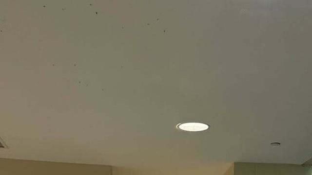 '아빠! 어디가?' 윤후, 폭풍 성장 근황... 익숙한 얼굴에 반전 '근육질 몸매' 과시