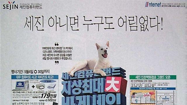 여기서 컴퓨터 샀으면 빼박 아재