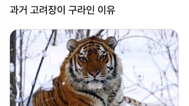 고려장이 구라인 이유