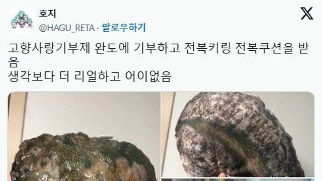 완도에 기부하면 주는 전복 쿠션