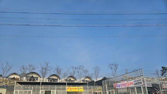 사천 서포 비토섬 '은지네 굴구이', 50년 전 그 김치가 있었다