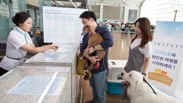 올해 대한항공 타고 해외 여행 다녀온 반려동물 3만마리