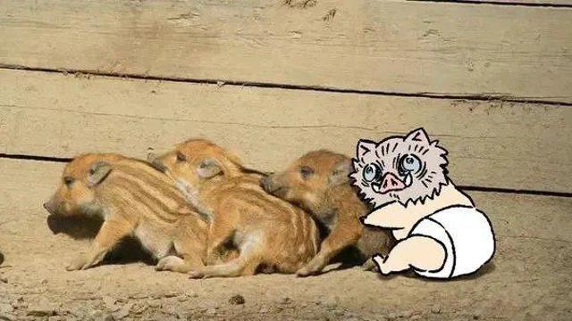 중소에서 한순간에 등용된 썰