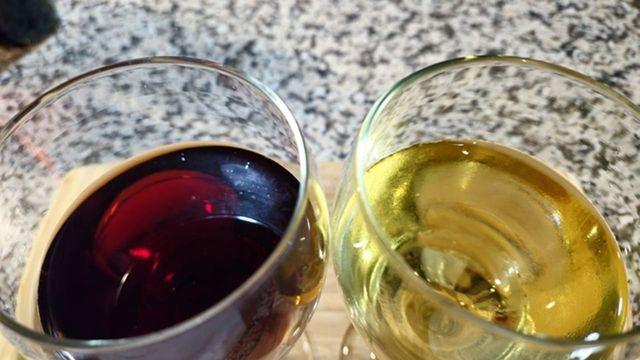 '단순 포도 색깔 때문인 줄 알았는데..' 레드와인 vs 화이트와인, 대부분의 사람들이 모르고 있는 진짜 차이