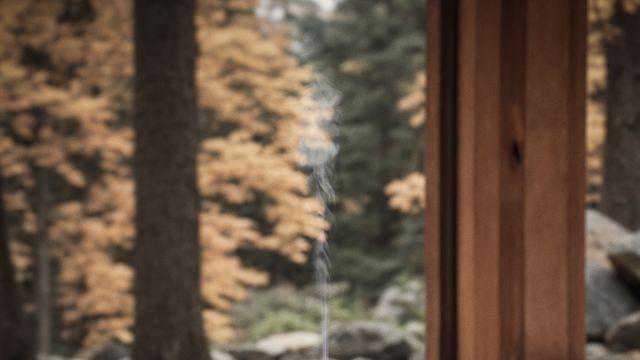 오디오 브랜드, 버번 위스키 브랜드, 식료품점이 만든 신제품 이색 향수 3