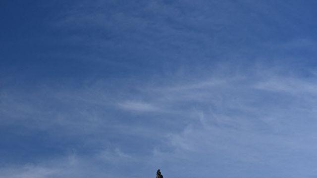 美상원서 건강보험 법안 모두 부결…보험료 폭등 현실되나