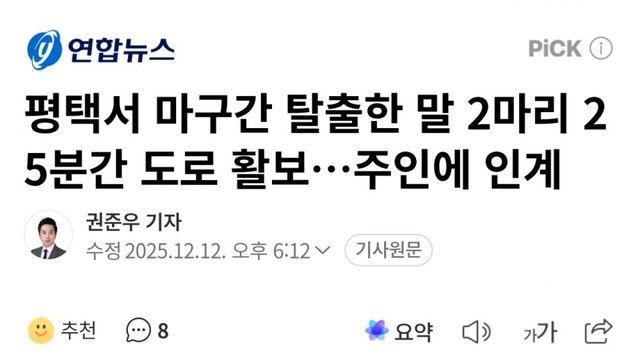 마굿간 탈출한 말 2마리 길거리 활보 ㄷㄷ