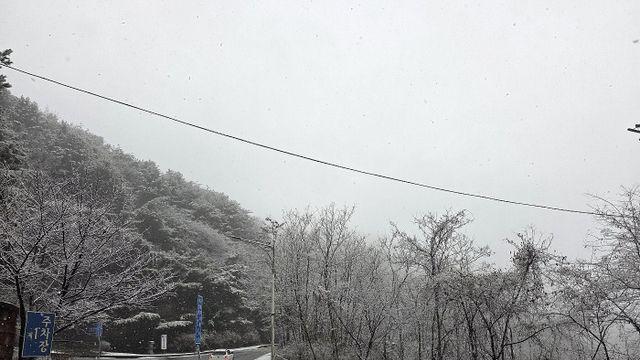 눈 쌓인 팔공산 한티재 도로 통행 통제