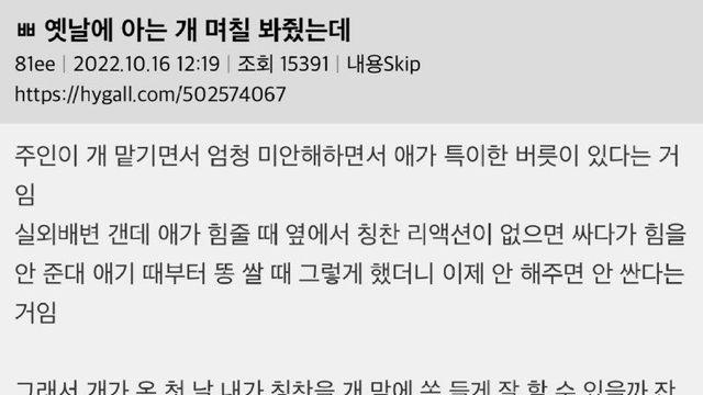 옛날에 아는 개 며칠 봐준 썰.jpg