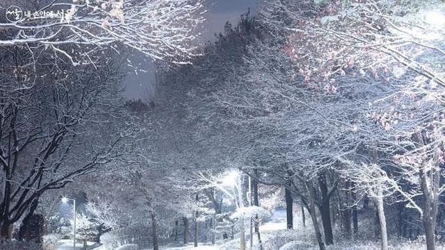 [정보글] 추운 겨울철 히터 예열을 기다려야 할 때 꿀팁