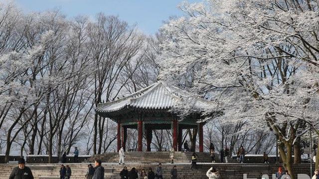 아침 영하권 강추위 이어져…강원 비·눈[이주의 날씨]