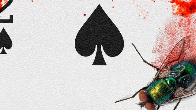 화투에서 포커로, ‘타짜4’ 변요한·노재원 투톱 확정