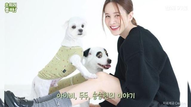 아이비, '송승헌'과 동거설 입 열었다…