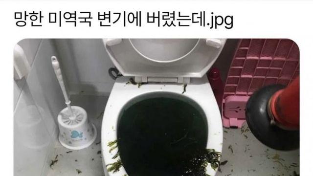 망한 미역국 변기에..jpg