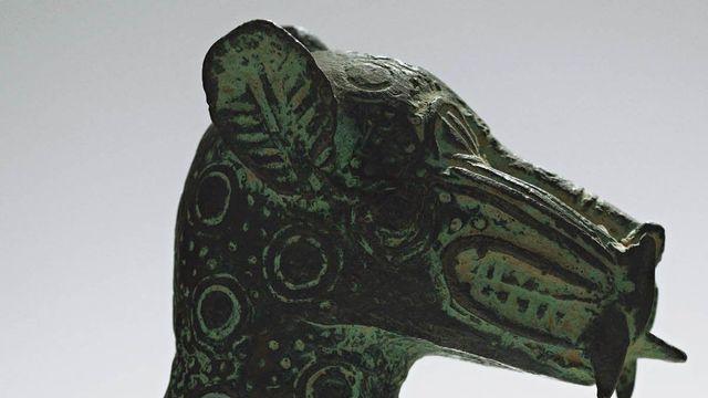 어느 이상하고 아름다운 나라의 수집가들