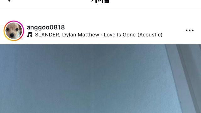 아리아나 그란데가 인스타 좋아요 눌러준 한국인의 강아지