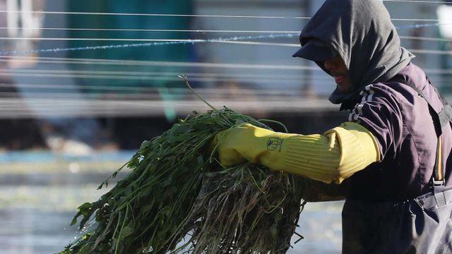 약사가 추천한 '염증 잡는 음식'