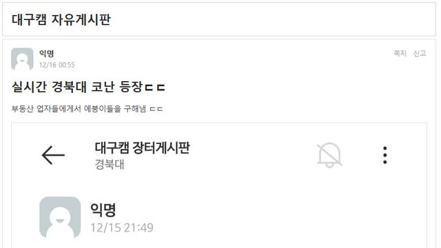 실시간 경북대학교 코난 등장 ㄷㄷㄷ 