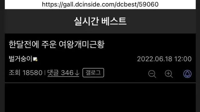 [스압] 여왕개미를 주운 디시인.jpg,,