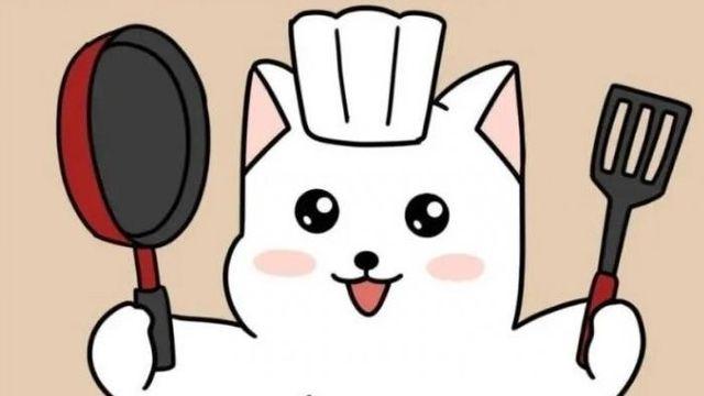 요리 못하는 애들 특징