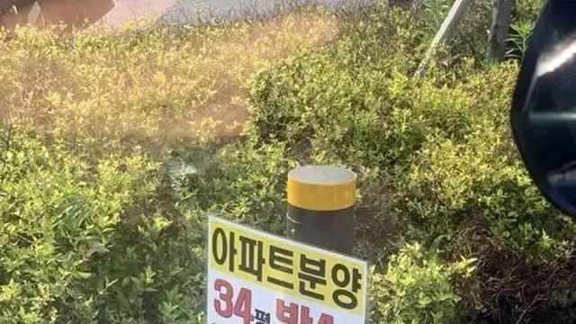 광고 자세히 봐야하는 이유,,