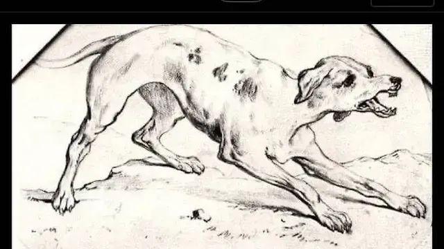 천재 화가들의 어린 시절 그림들,,