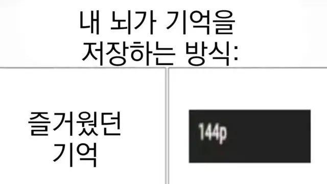 뇌가 기억을 저장하는 방식,,