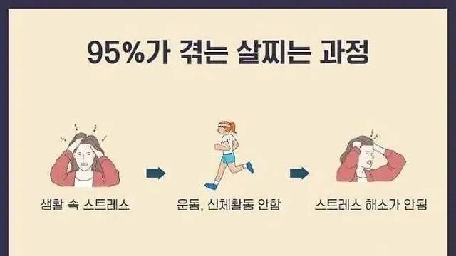 95%가 겪는 살찌는 과정