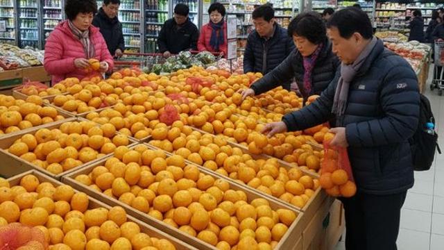 만 원 이하 귤, 아는 사람만 아는 '비밀'