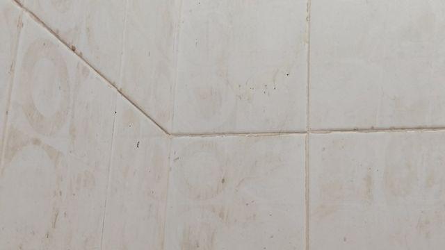 락스보다 효과 좋다…보기 싫은 화장실 줄눈 깨끗하게 만드는 방법