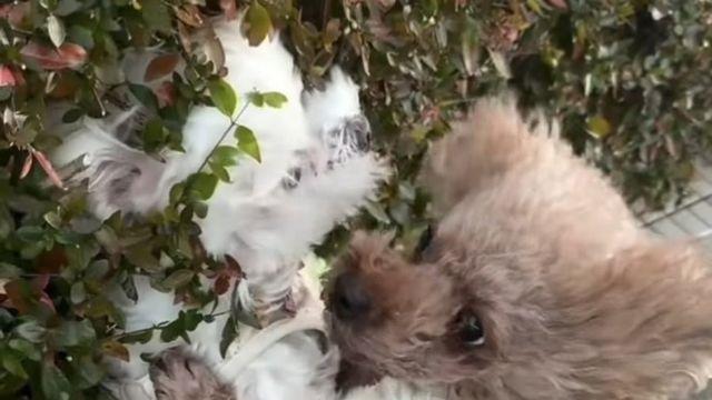 우리 지금 싸우는거 아니에요~