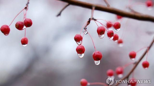 전국 대체로 흐리고 곳곳 비…밤부터 빙판길·도로 살얼음 주의
